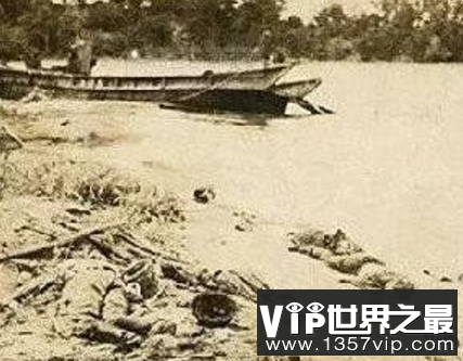 人类历史上被动物吃掉最多的一次，日军900人葬身鳄腹