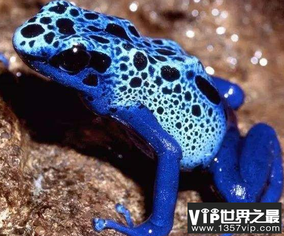 微信截图_20200401111937.png