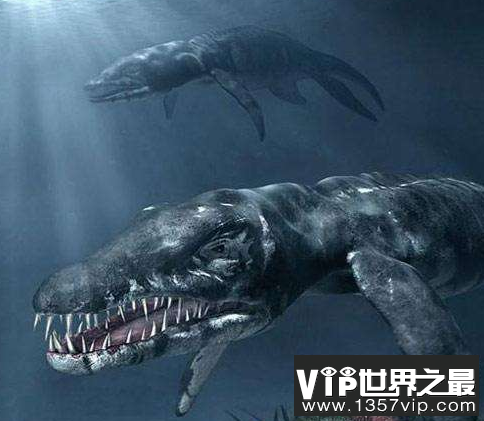 微信截图_20200106102307.png