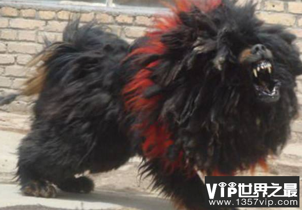 微信截图_20200106102307.png