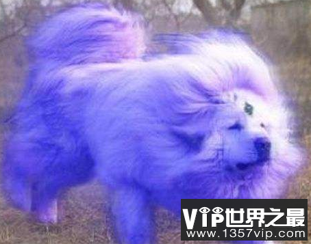 微信截图_20200401111937.png