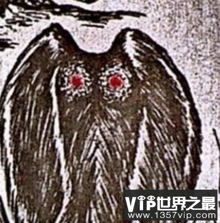 天蛾人的预言与诅咒能成真吗?