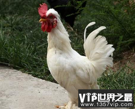 微信截图_20200401111937.png