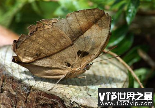 微信截图_20200401111937.png