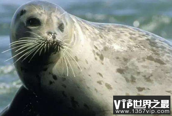 微信截图_20200401175955.png