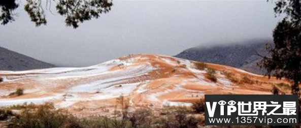 撒哈拉下雪:世界最热的地方竟然下雪