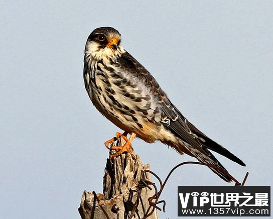 微信截图_20200106102307.png