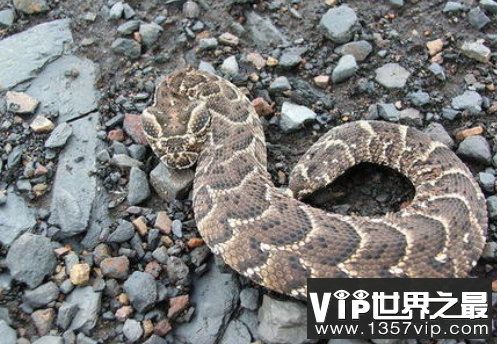 微信截图_20200106102307.png