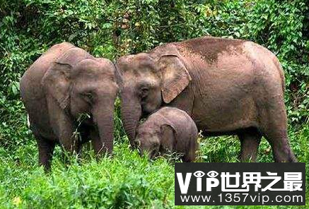 微信截图_20200106102307.png