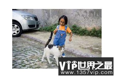 微信截图_20200123154756.png