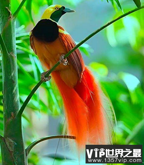 微信截图_20200609143126.png