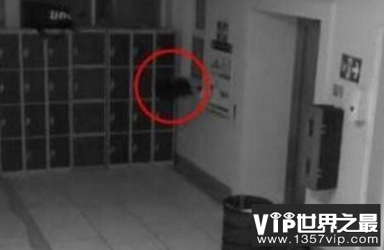 济南大学七号教学楼闹鬼事件，女生在宿舍自杀后阴魂不散