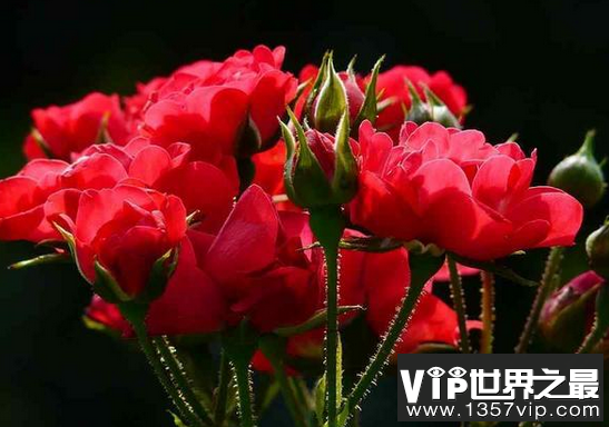 微信截图_20200106102307.png
