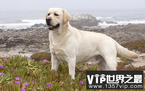 微信截图_20200609143126.png