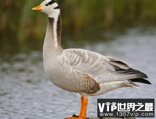 微信截图_20200609143154.png