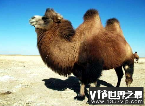 微信截图_20200609143147.png