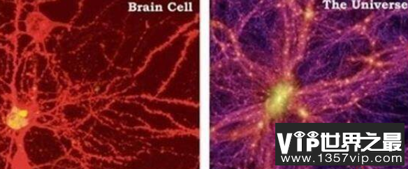 宇宙可能是巨人的细胞，多个细胞构成整个高维时空