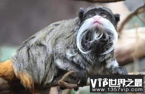 微信截图_20200609143126.png