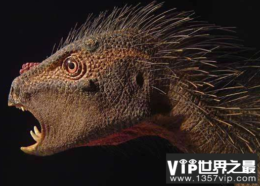 微信截图_20200609143147.png