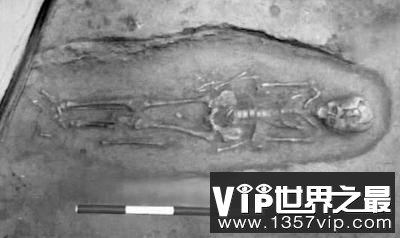 7000年前少女死亡未解之谜 阴道被插入骨器