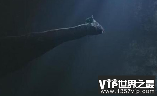 考古界不敢公开的秘密,精绝女王的最终的秘密