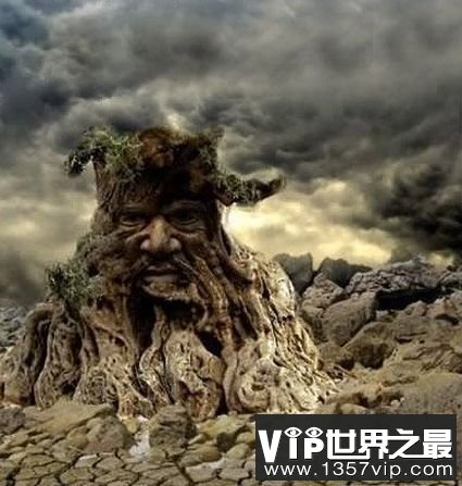 食人树之谜