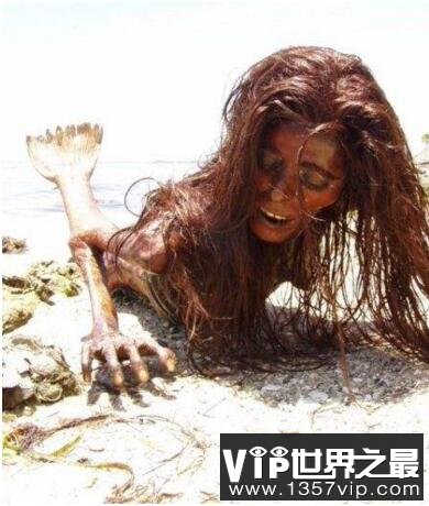 世界上有美人鱼吗，并不是传说(世界上是真有美人鱼存在)