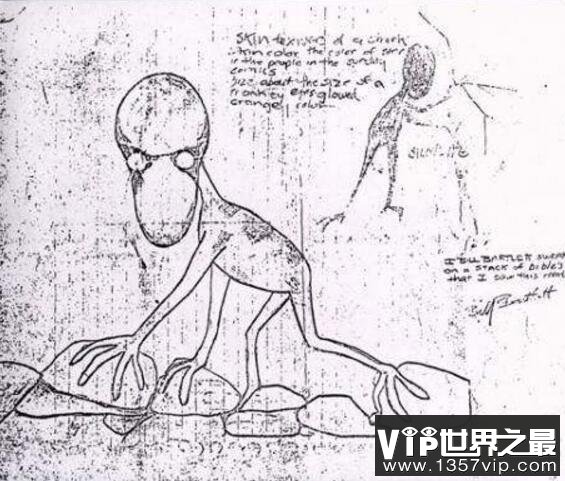 美国多佛恶魔，疑似外星生物(头大如斗眼睛为橙色)