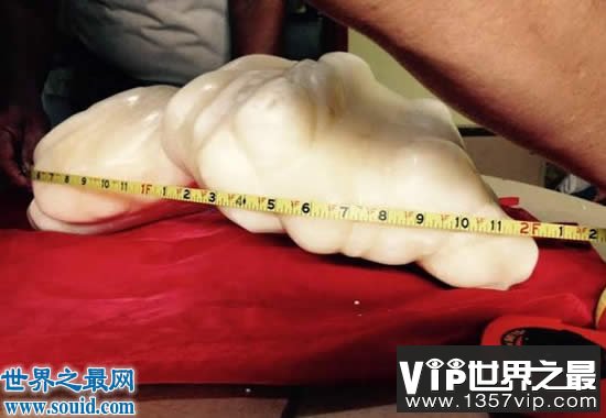 世界上最大的珍珠，重78斤被雪藏10年(价值1亿美金)(www.1357vip.com)