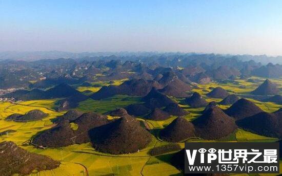 世界最大天成花园，云南罗平80万亩油菜花田(www.1357vip.com)