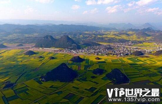 世界最大天成花园，云南罗平80万亩油菜花田(www.1357vip.com)