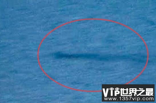 广东湛江湖光岩水怪真相，多人目击龙鱼神龟的传说