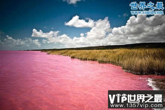 吉尼斯世界纪录中美丽的地球，最神奇的湖中湖(www.1357vip.com)