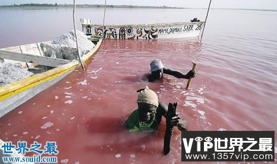 吉尼斯世界纪录中美丽的地球，最神奇的湖中湖(www.1357vip.com)