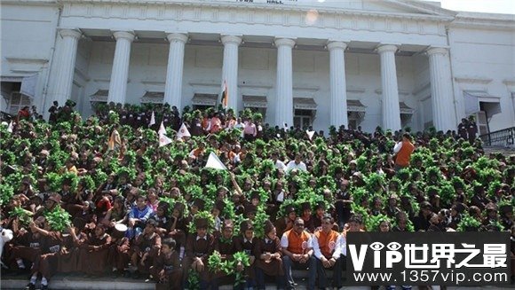 和树有关的吉尼斯世界纪录，最大的树叶长0.5米(www.1357vip.com)