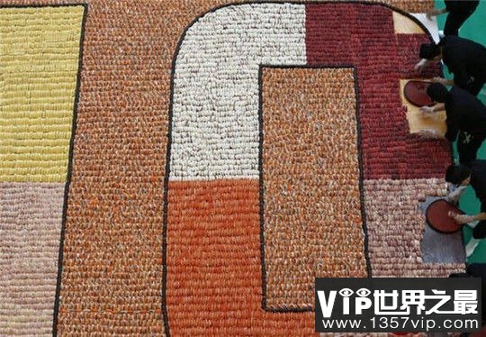 世界上最无聊的吉尼斯纪录，无聊的人才会看(www.1357vip.com)