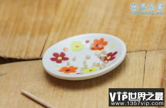 世界上最小的饺子，吃1000都吃不饱(0.0016克)(www.1357vip.com)