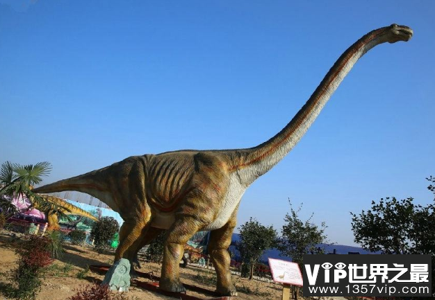 世界上最重的恐龙：腕龙，体重30吨，身长26米如五层大楼