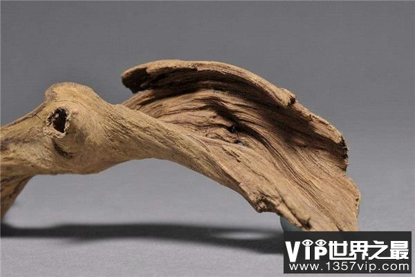 世界上最硬的五大木头排名，红木和黄花梨榜上有名