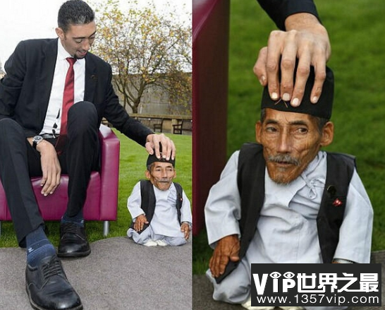 ：身高只有0.546米