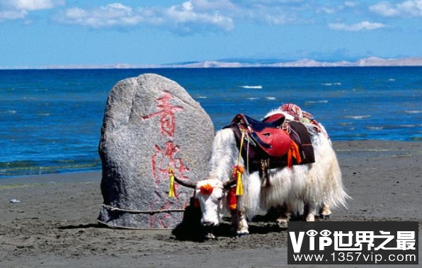 中国最大的湖泊：青海湖，面积4435.69平方公里(大可敌国)