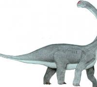 文雅龙：大型四足植食性恐龙（体长9米/头呈方形）