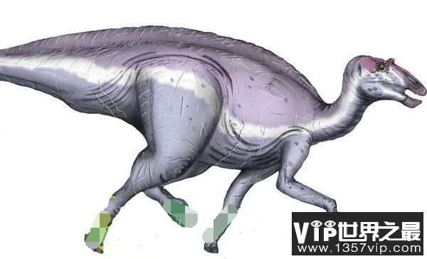 独孤龙:阿根廷小型食草恐龙(长3米/距今7300万年)