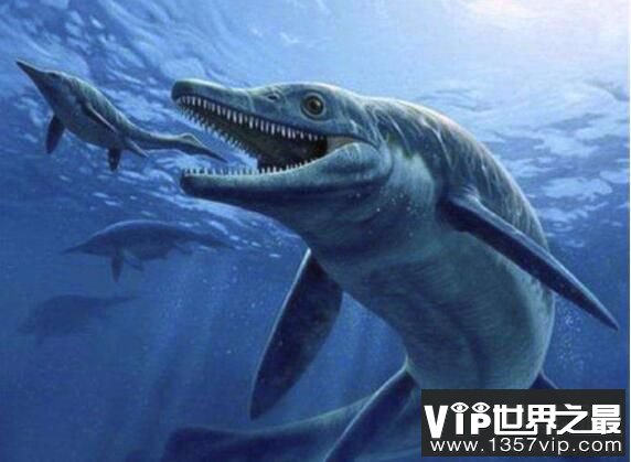 海洋十大霸主排名，终极海怪沧龙排第一(绞杀翼龙)