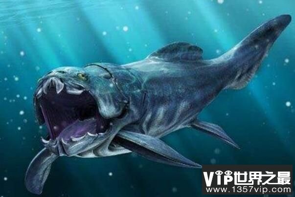史前海洋十大霸主，巨齿鲨与旋齿鲨称霸海洋