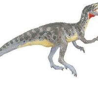 中国虚骨龙：四川发现的小型食肉恐龙（化石仅剩牙齿部分）