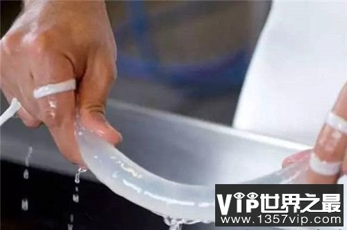 鱼泡避孕