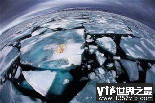 30亿年前非洲“丢失的大陆“现身印度洋毛里求斯岛