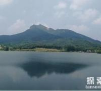 恐怖的铜山湖水怪把人吓病一个月，水怪原来是条鳄鱼