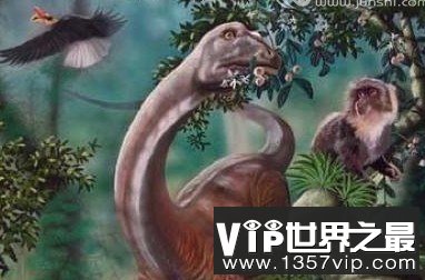 全球十大无解神秘事件